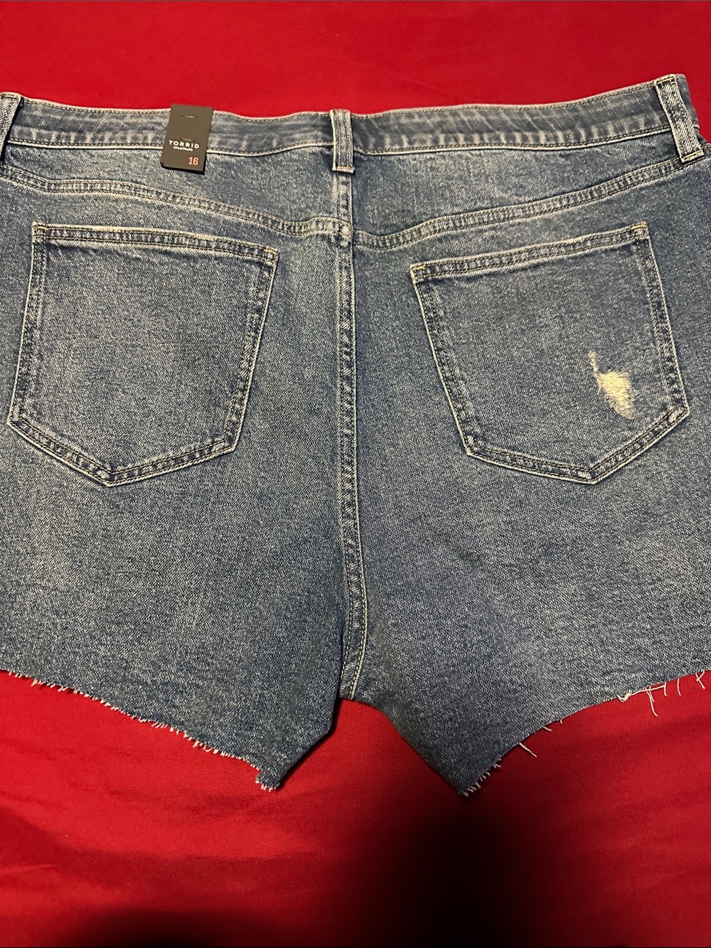 Torrid - Picture 5 of 5